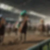 Historical overview of Belmont Stakes betting